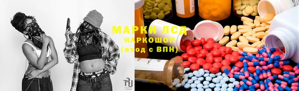 стаф Козловка