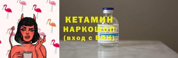стаф Козловка