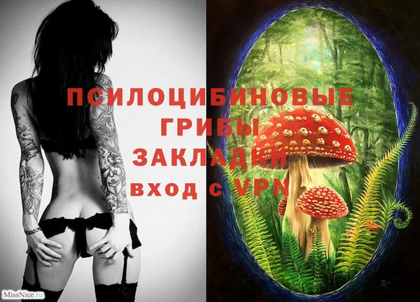 спайс Коряжма