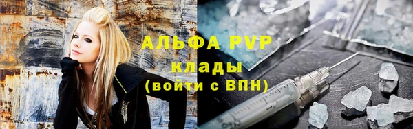 стаф Козловка
