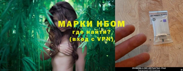 стаф Козловка